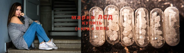 гидра Струнино